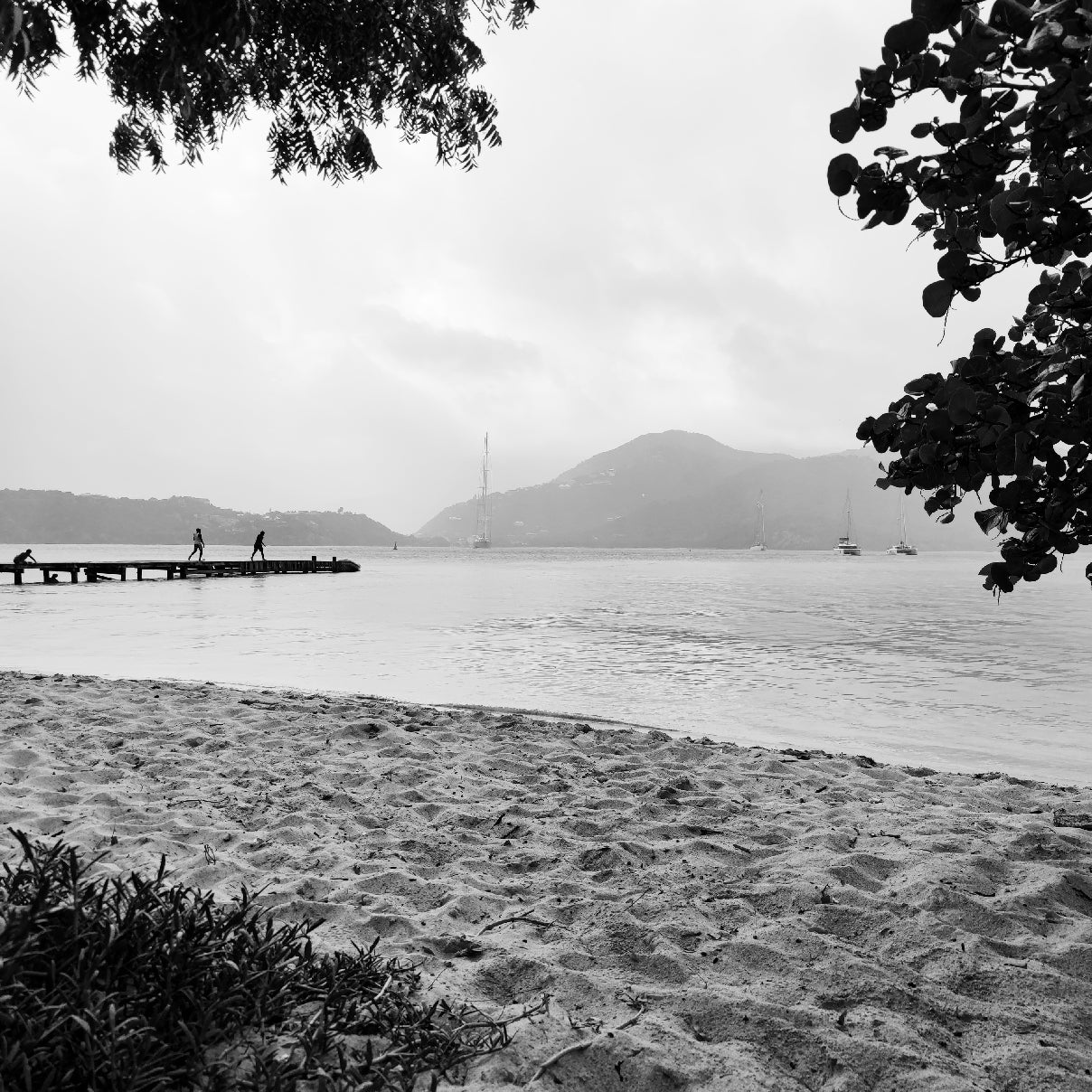 The Antigua Collection