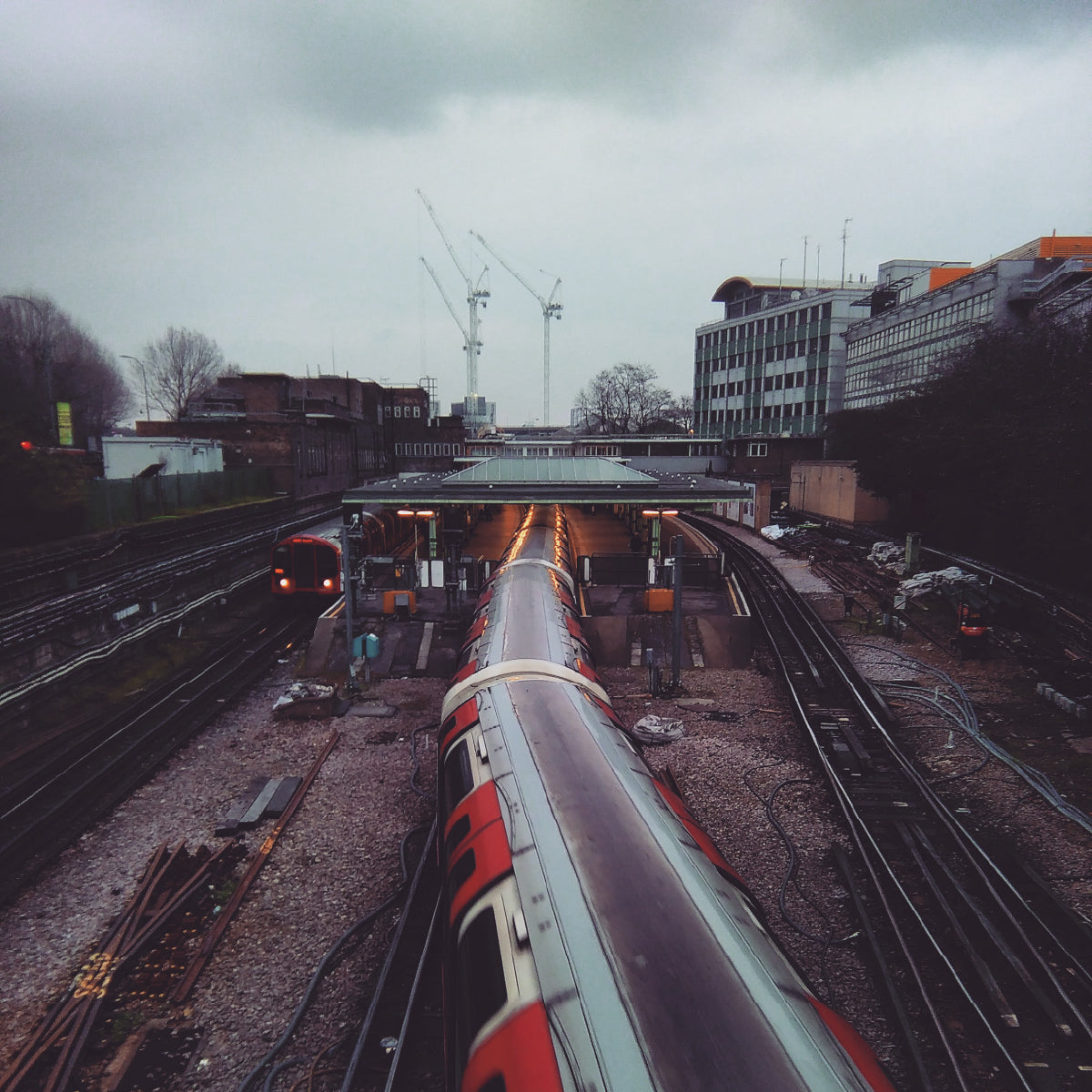 White City