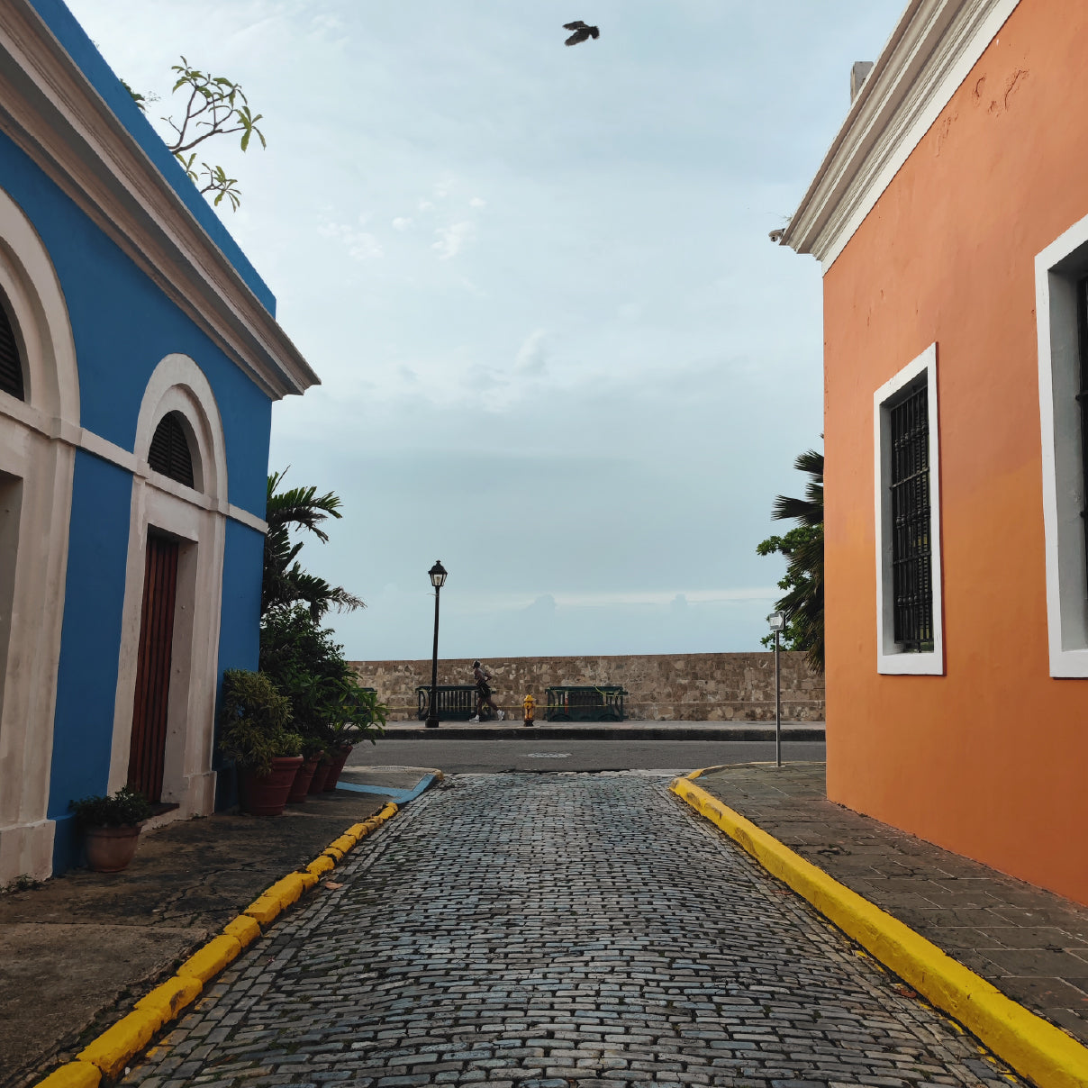 The Puerto Rico Collection