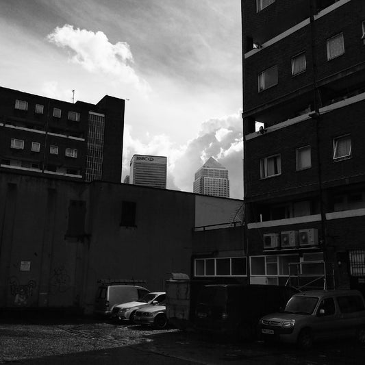 Poplar - June 2016