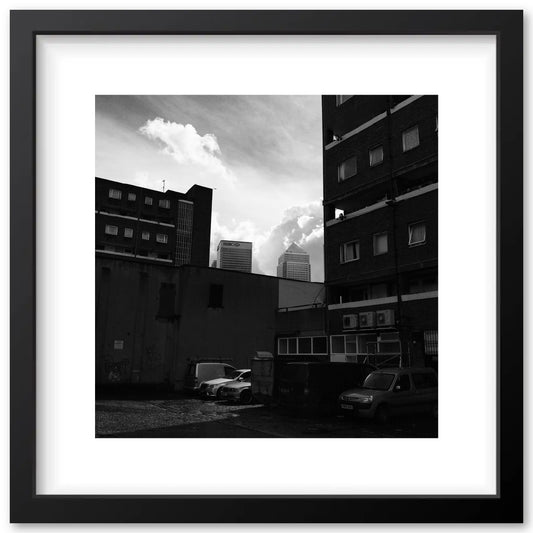 Poplar - June 2016