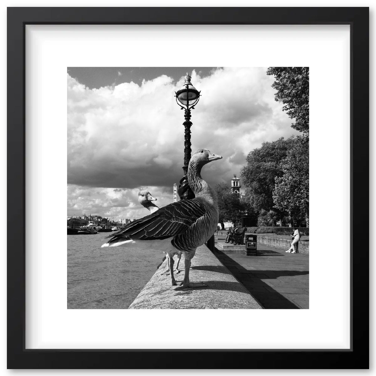 Westminster - June 2017