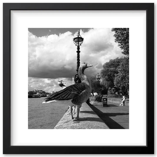 Westminster - June 2017