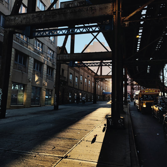 The Bronx 2