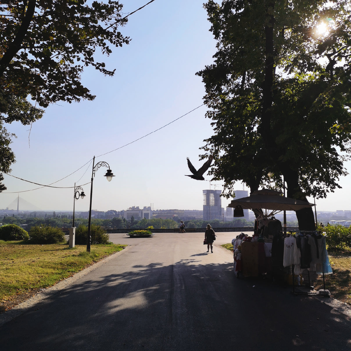 The Serbia Collection