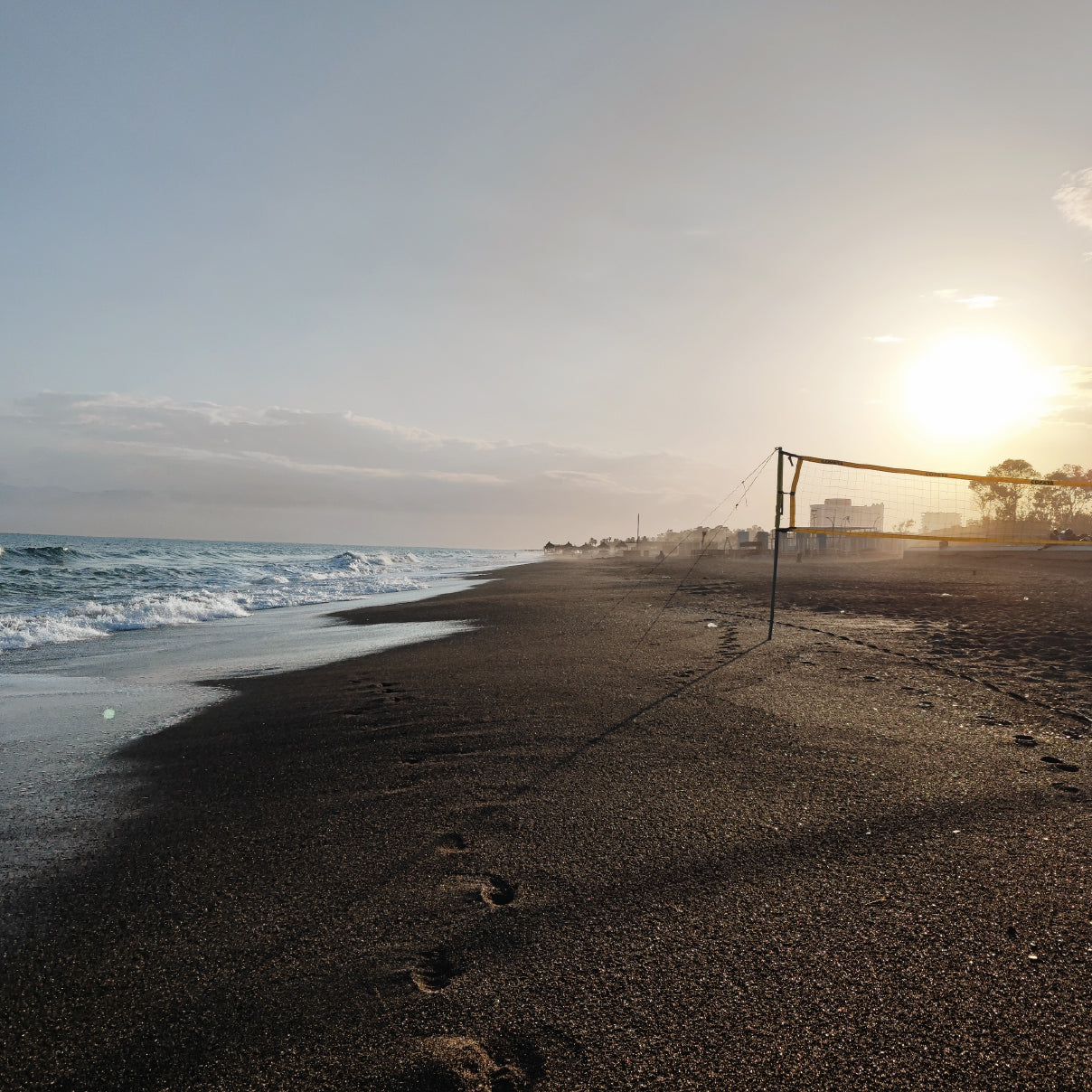 The Turkey Collection