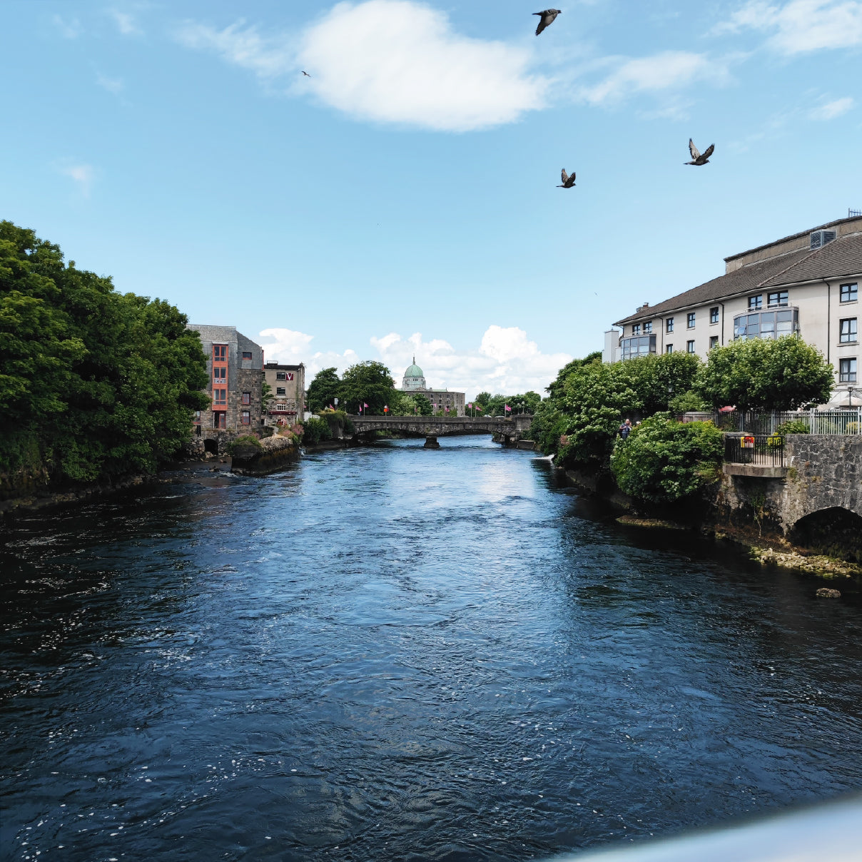 The Ireland Collection