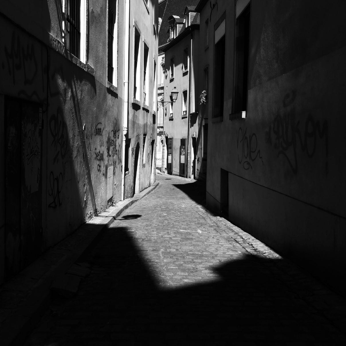 The Luxembourg Collection