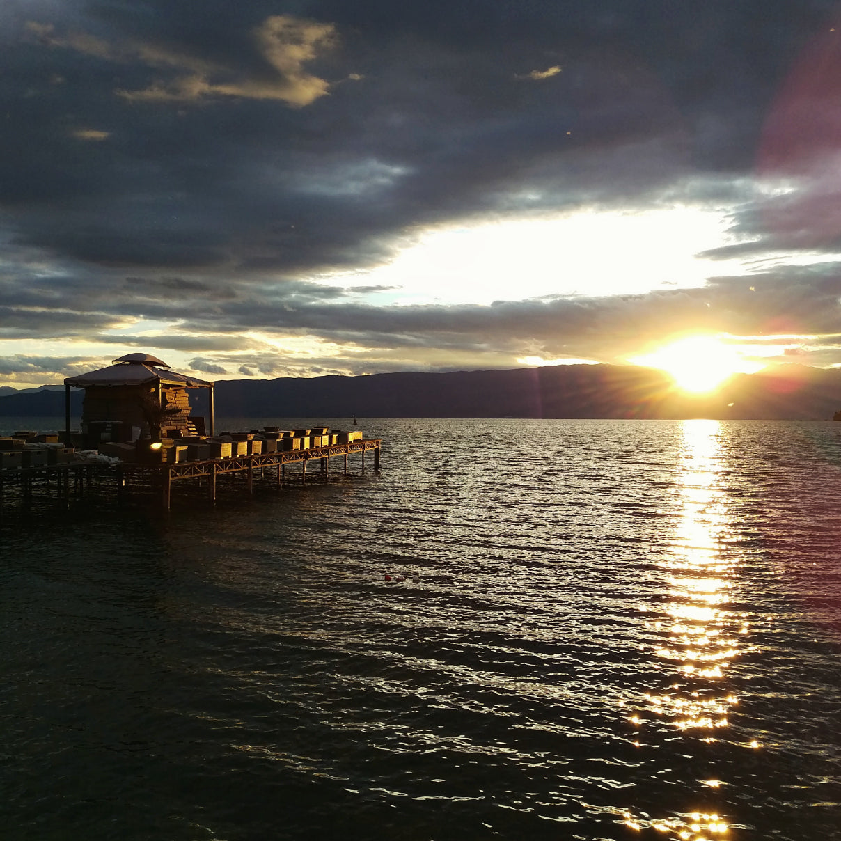 The Macedonia Collection